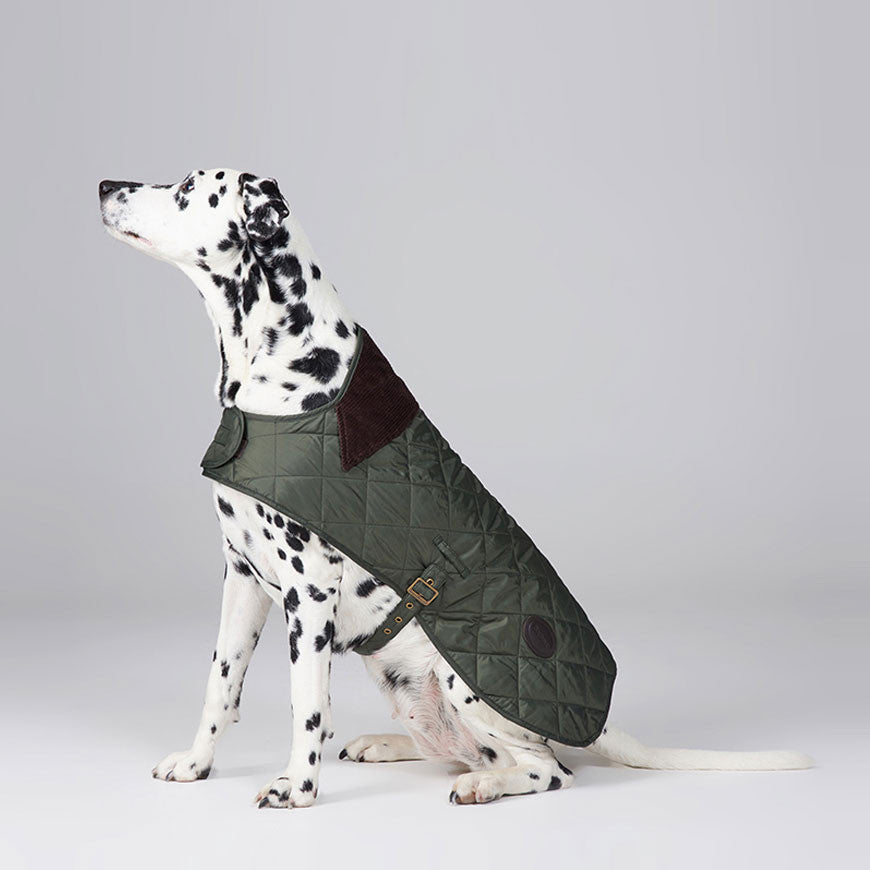 Barbour Quilted Dog Coat in Olive