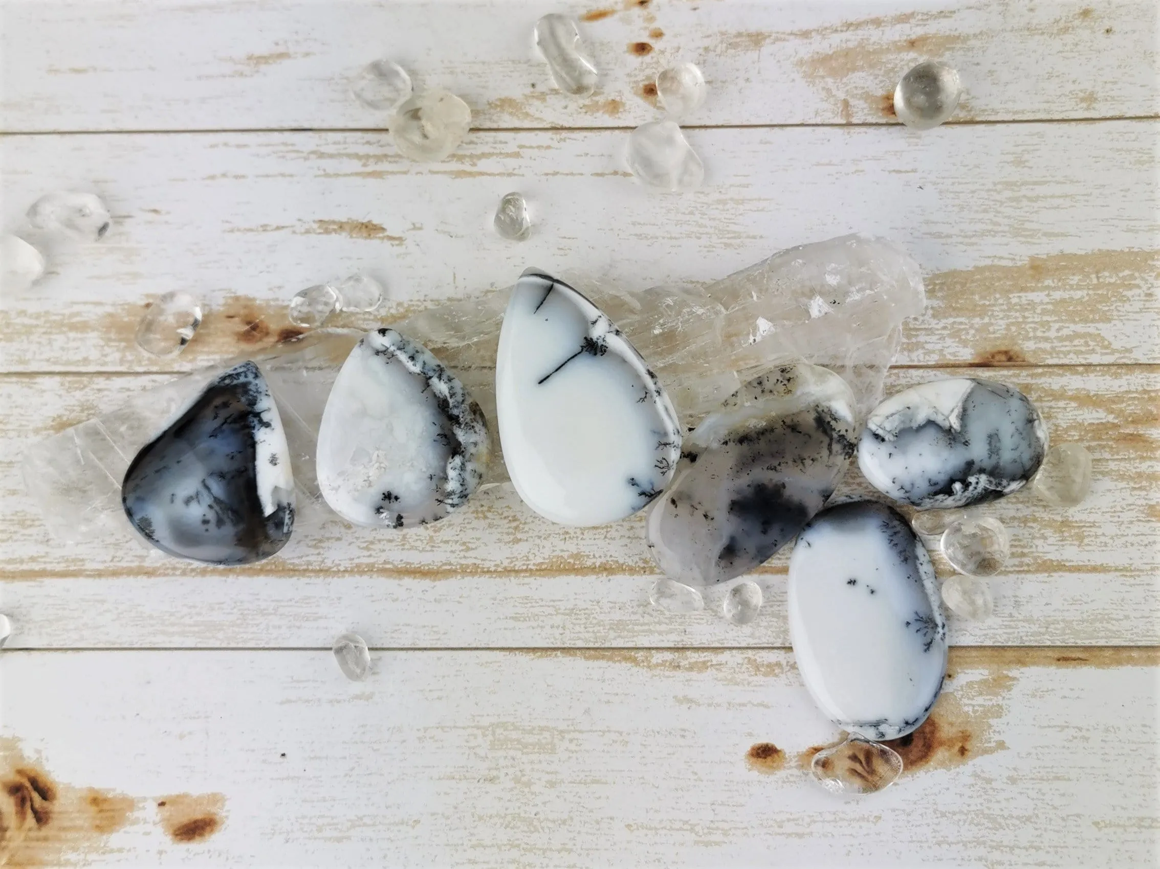 Dendritic Agate in Common Opal Cabochons