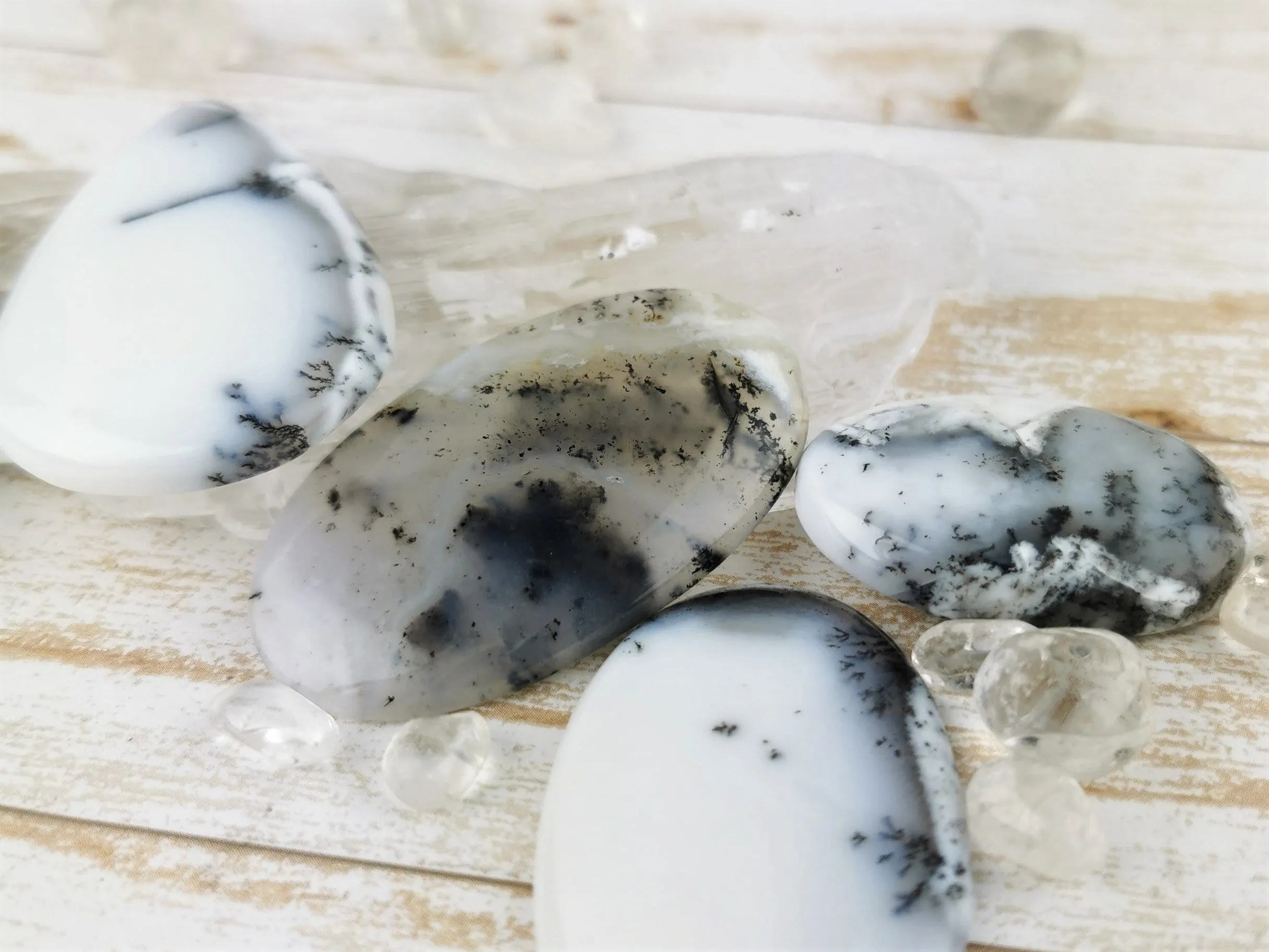 Dendritic Agate in Common Opal Cabochons