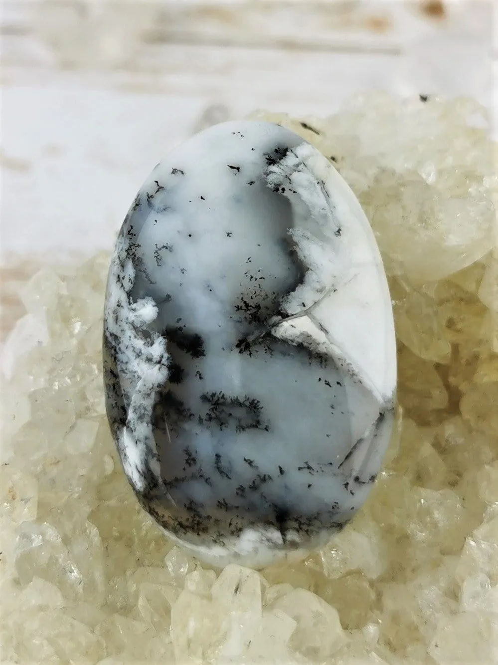 Dendritic Agate in Common Opal Cabochons