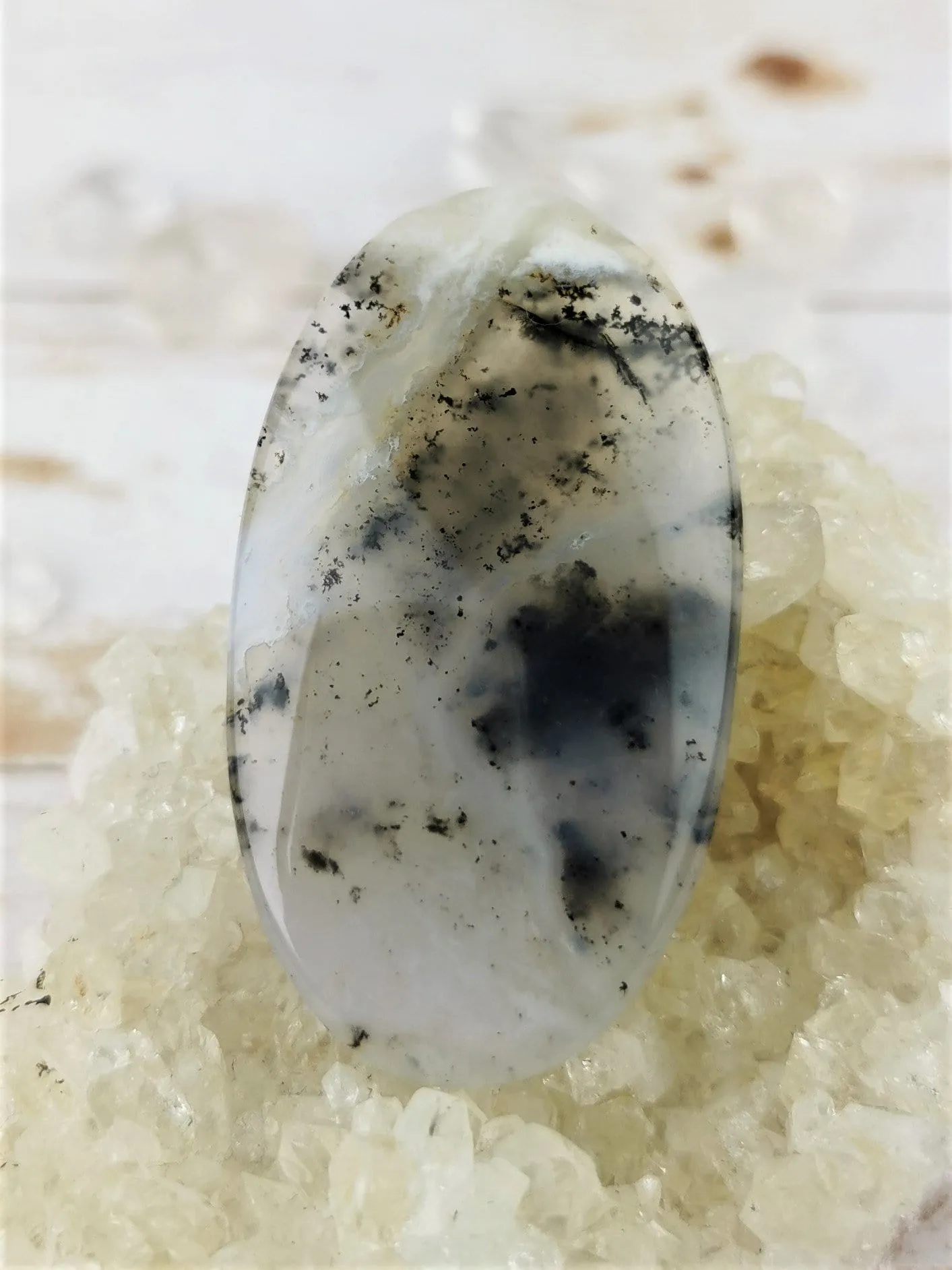 Dendritic Agate in Common Opal Cabochons