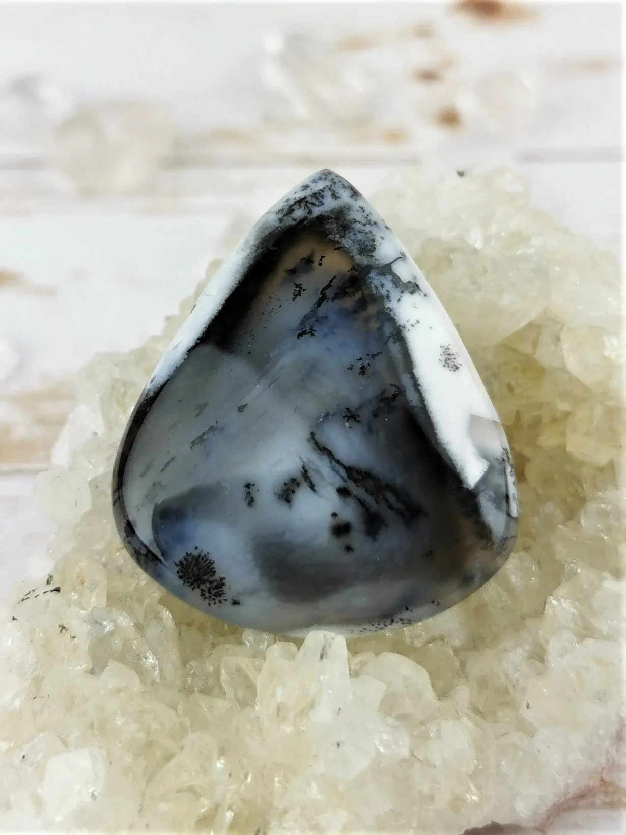 Dendritic Agate in Common Opal Cabochons