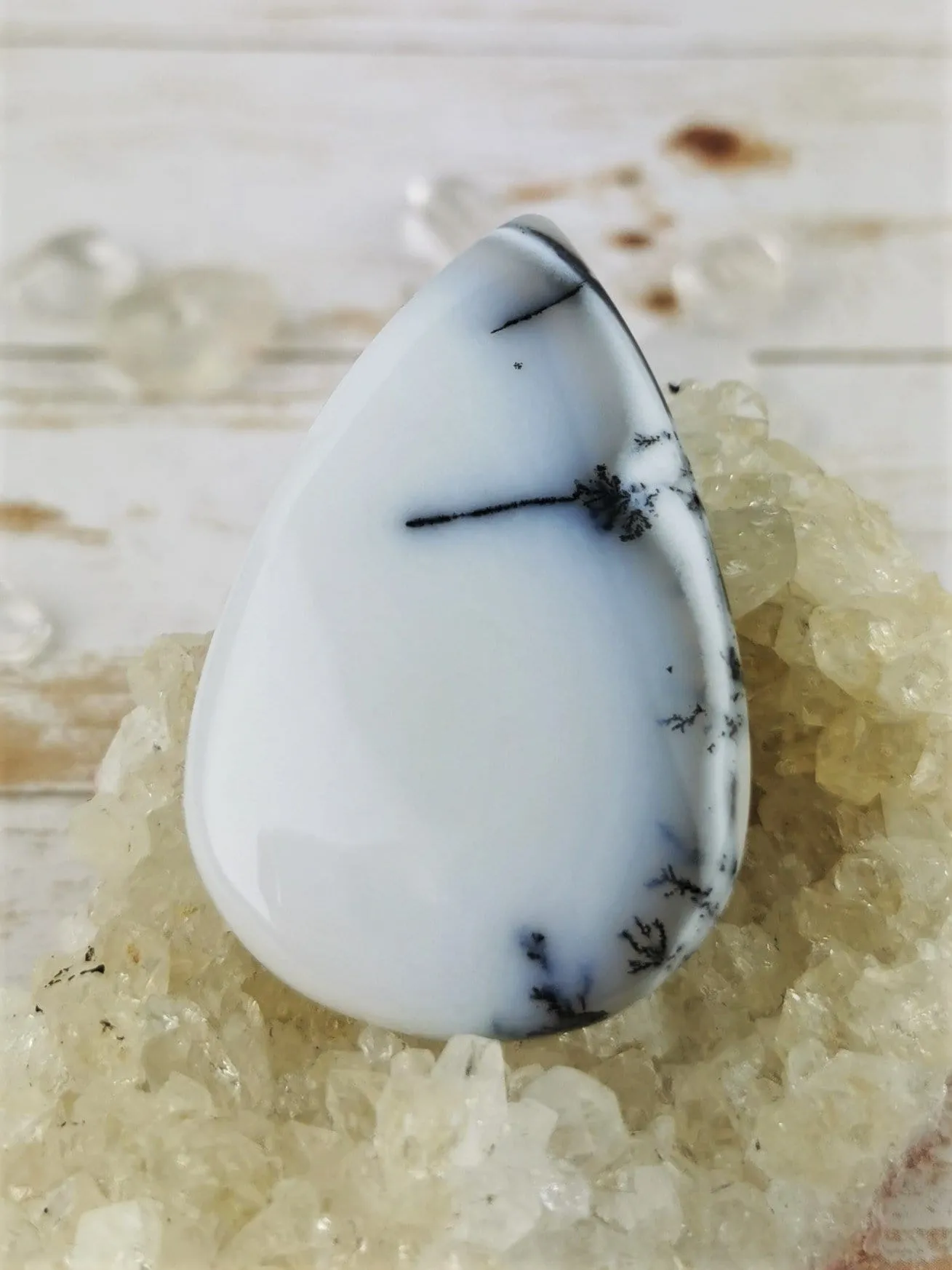 Dendritic Agate in Common Opal Cabochons