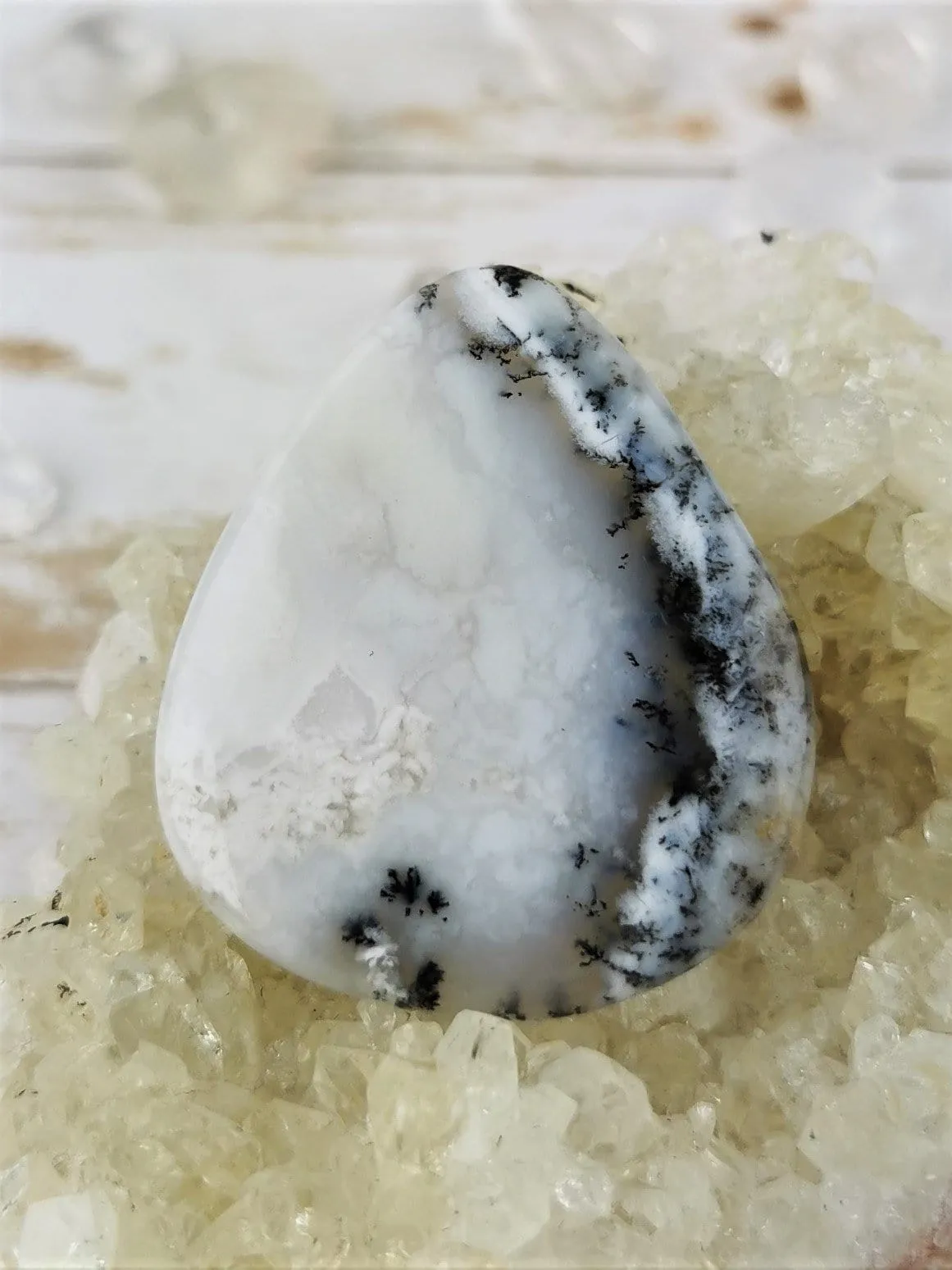 Dendritic Agate in Common Opal Cabochons