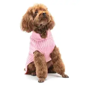 PP Basic Turtleneck Pink