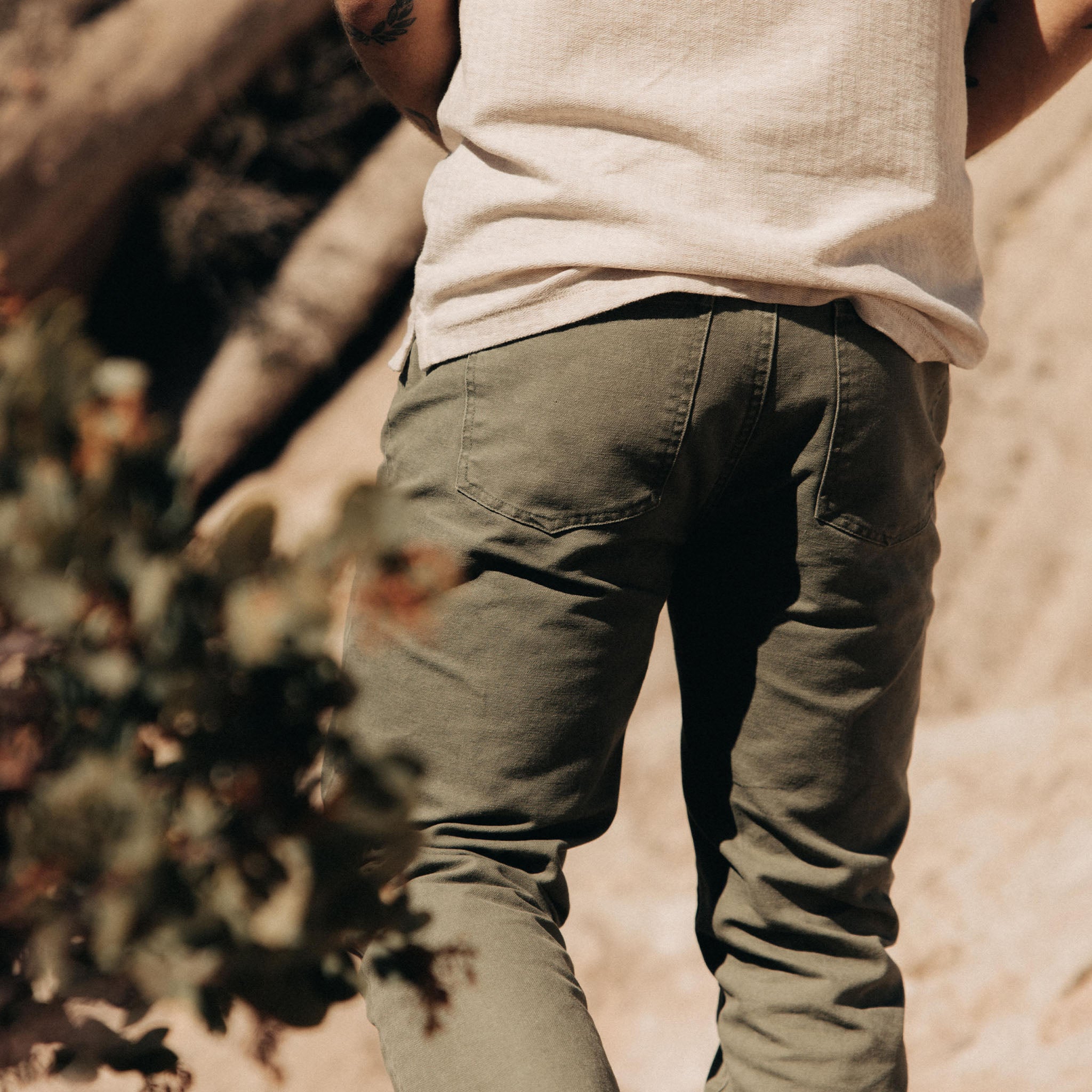 The Slim All Day Pant in Arid Eucalyptus Canvas